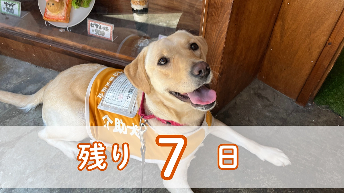 【残り7日】ネクストゴール達成に向けて、ご協力をお願いします。