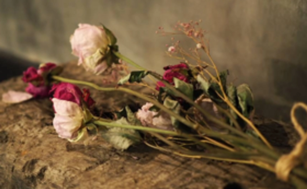 ご支援お礼Ⓐコース