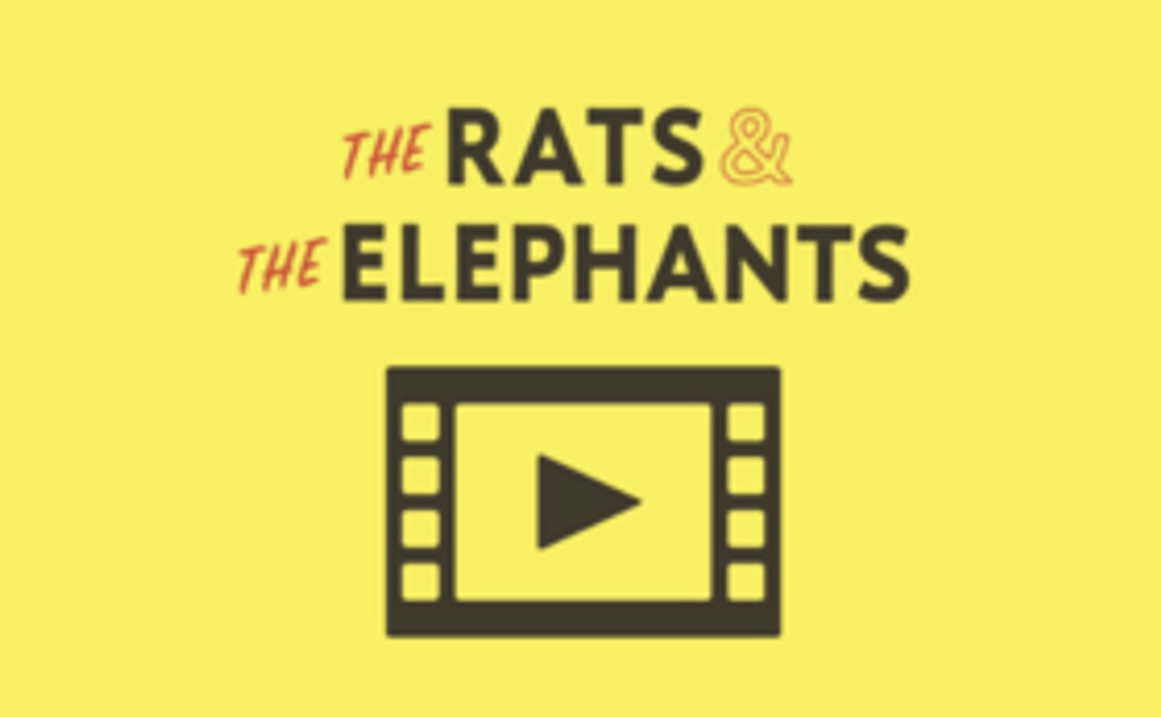 ＜C＞【『THE RATS AND THE ELEPHANTS』ライブ映像・ストリーミング＆ダウンロードパスコード】