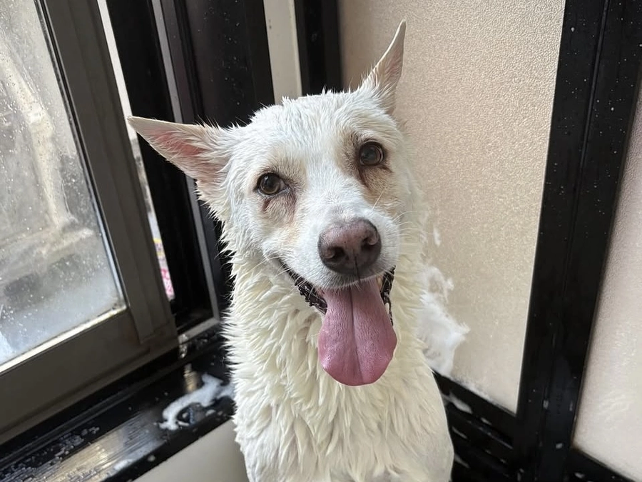 目標まであと52万円。レーベン会計のだいたいの様子