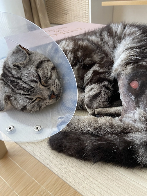 2023.7.9🔥 #闘病生活 82日目🔥