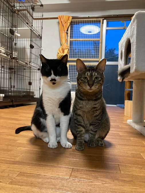 第一目標2700万円到達の御礼