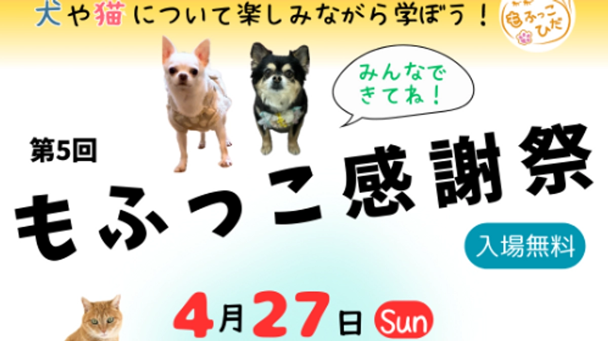 もふっこ感謝祭のお知らせ☆彡