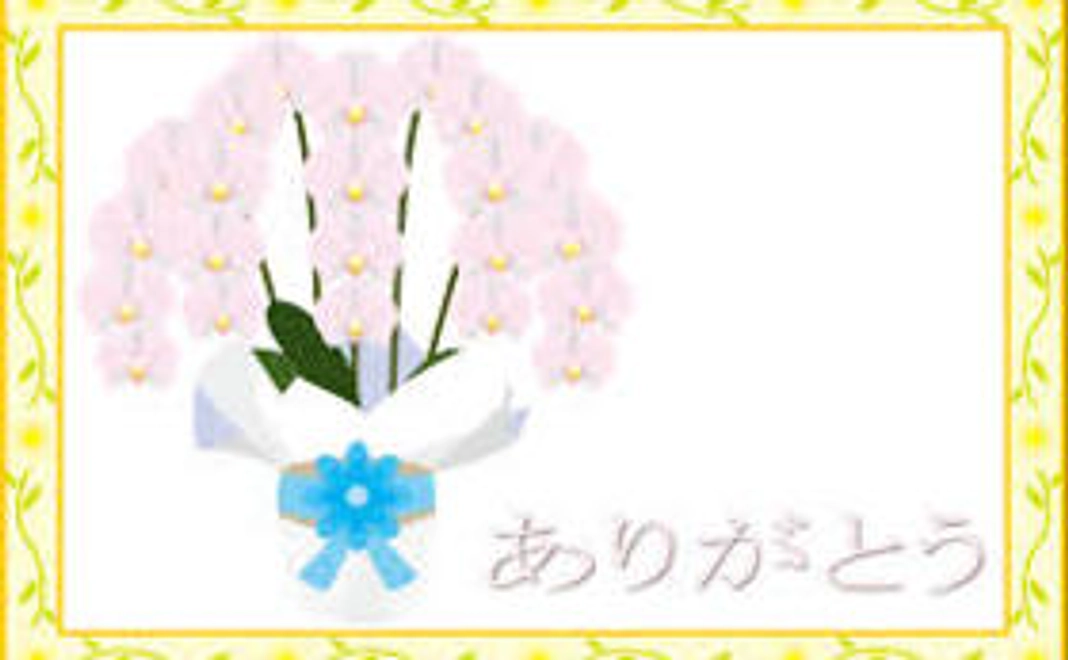 サンクスメール・活動のご報告