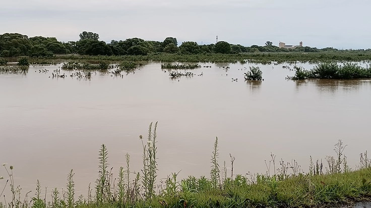 青森県りんご水害による農家支援
