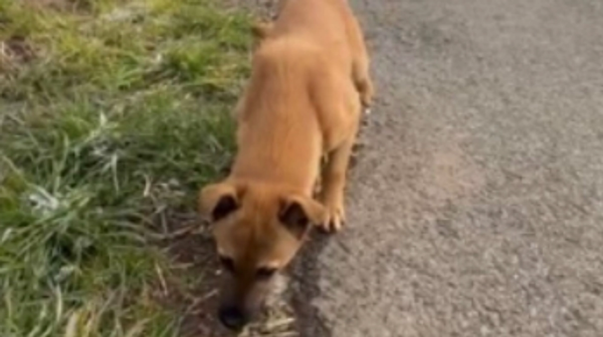 皆さんのお力お貸しください😭