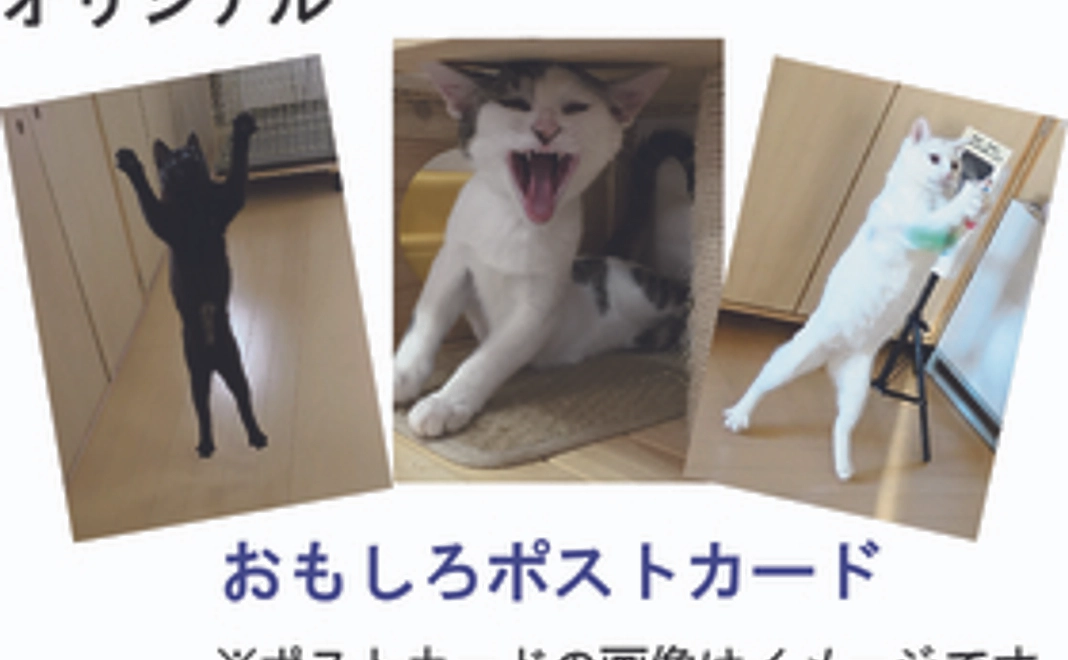 粉雪(こなゆき)コース