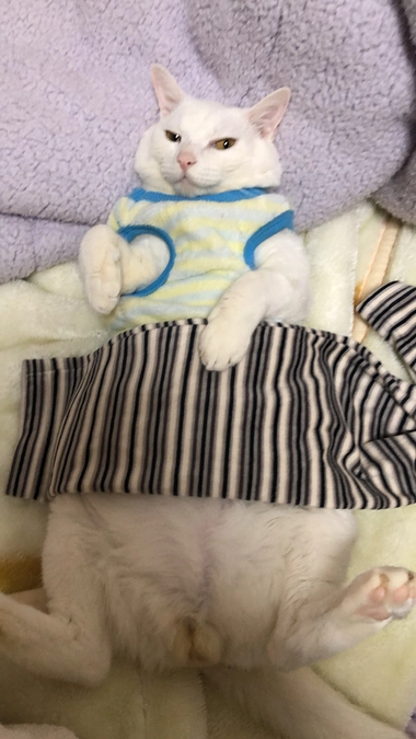 ハッピーターン計画😺✨️