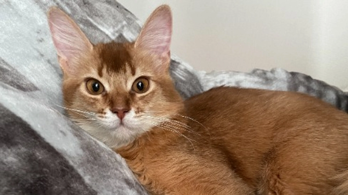 ★2023年12月3日：投薬75日目★