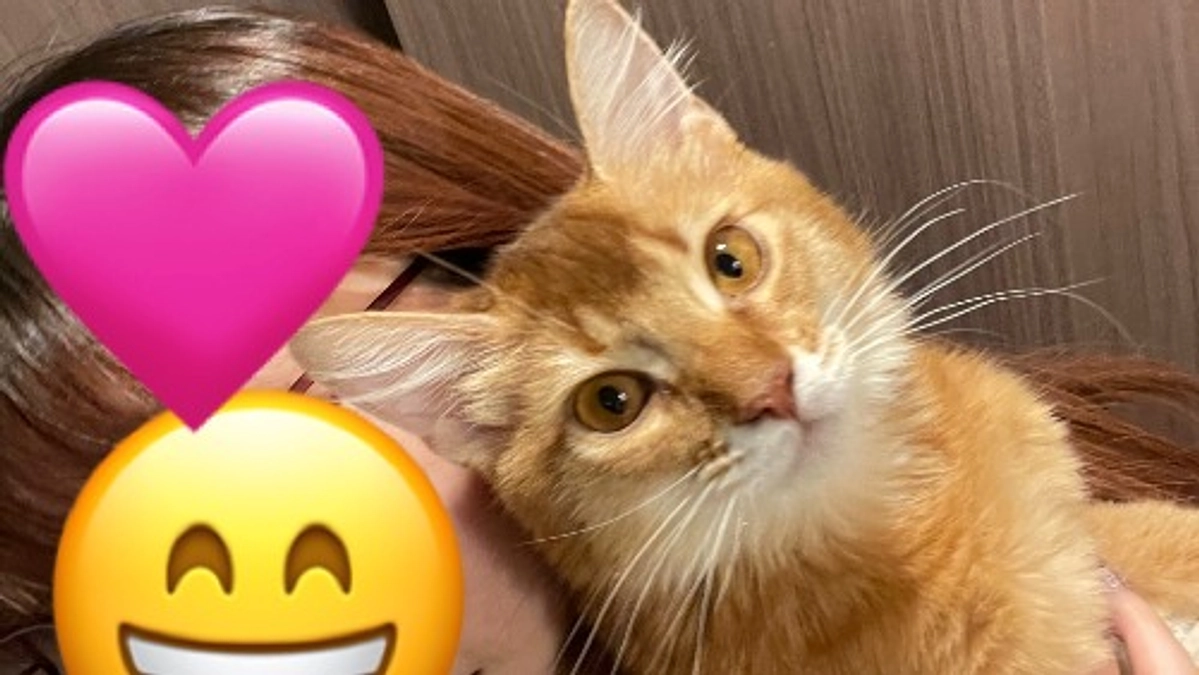 目標金額達成致しました！