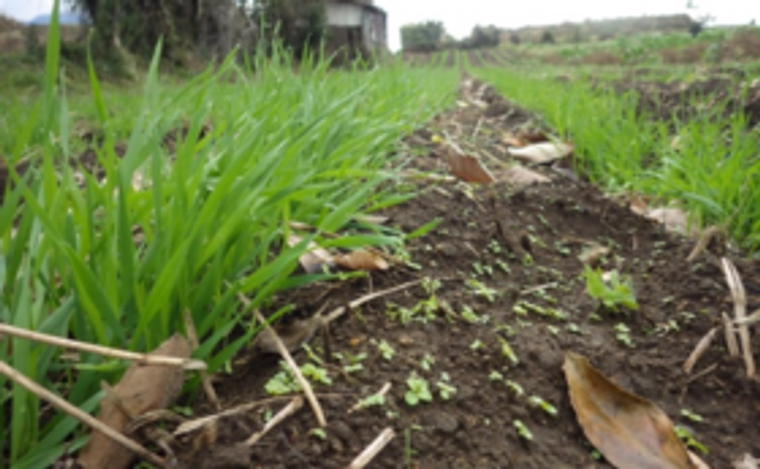 10000円支援コース