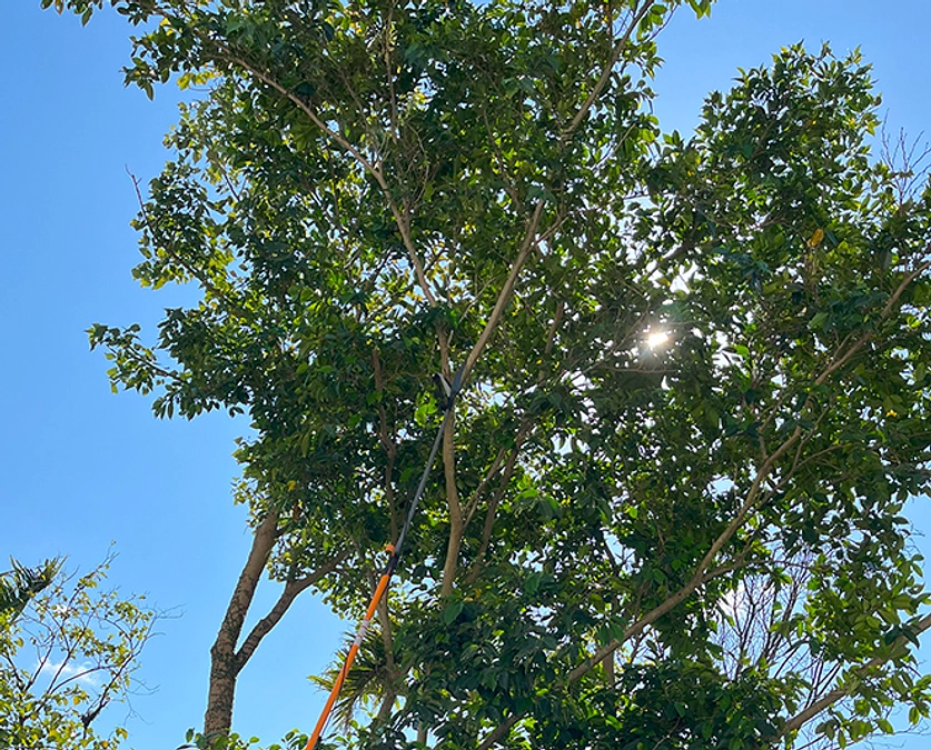 あい うぉんと とぅー かっと でぃす つりー