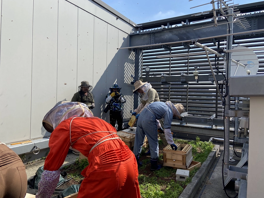 日本大学　水道蜂プロジェクト・経済学部　初参加！！