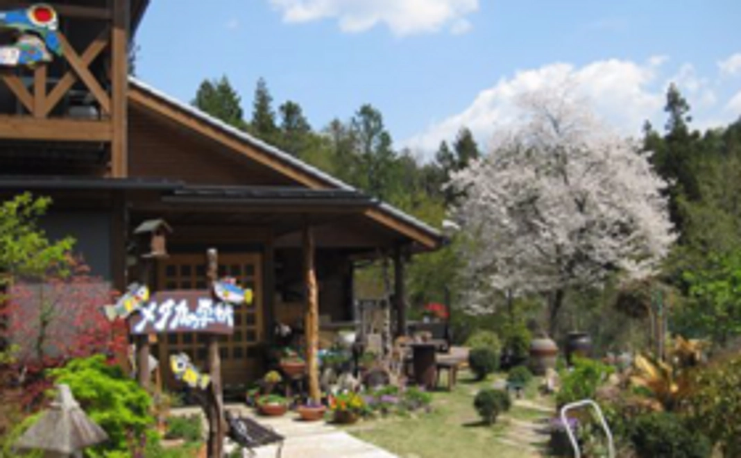 メダカの学校　機関誌1冊＆ほうじ茶