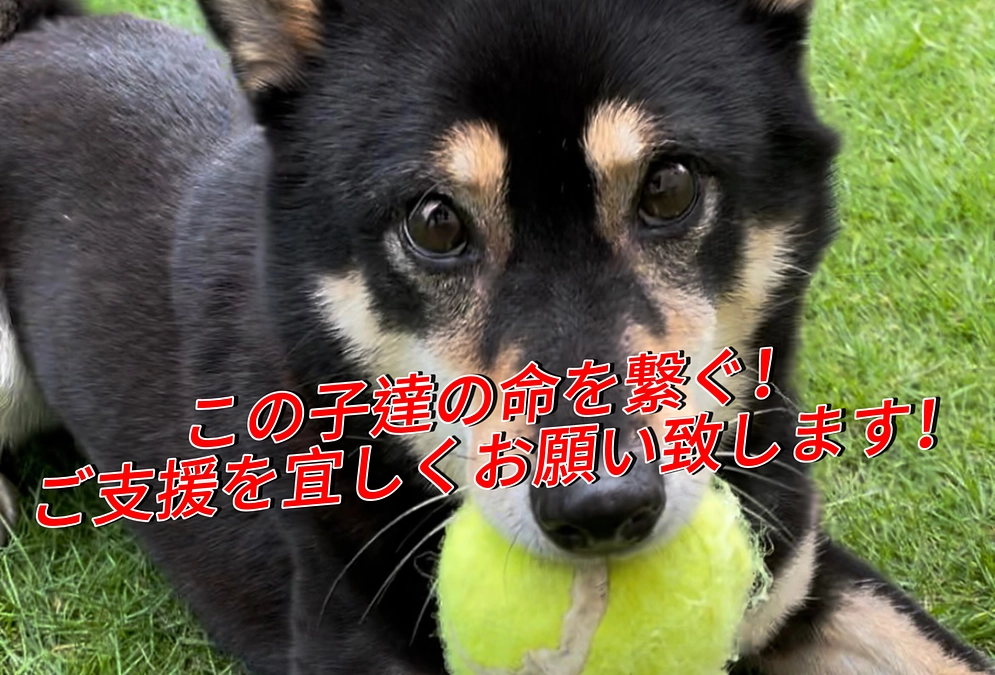 お掃除完了です！