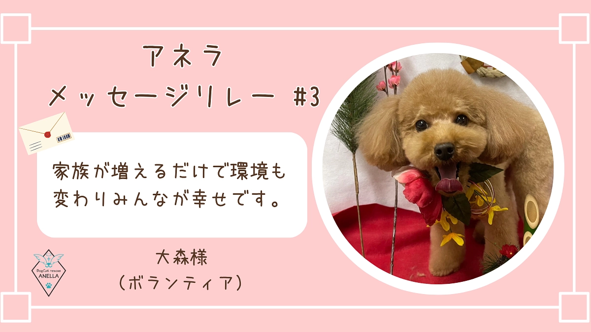 里親様＆ボランティアメッセージリレー #03