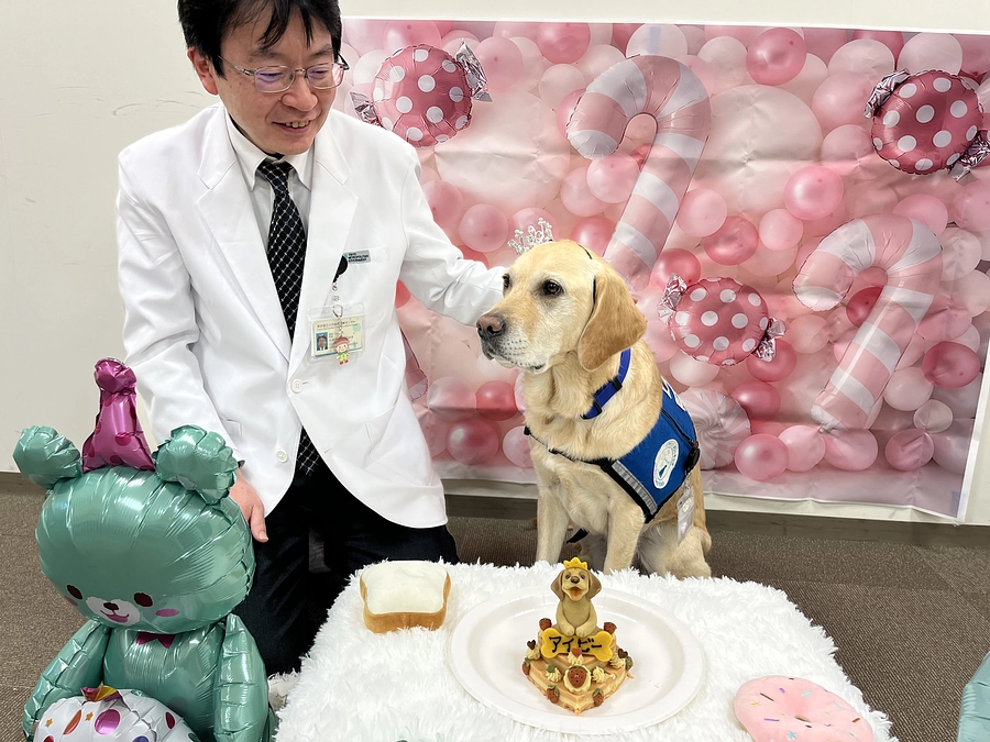 現在当院で活躍中のファシリティドッグのアイビーが本日誕生日です！
