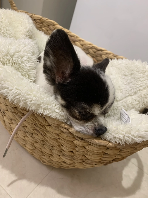 嬉し泣きしました！