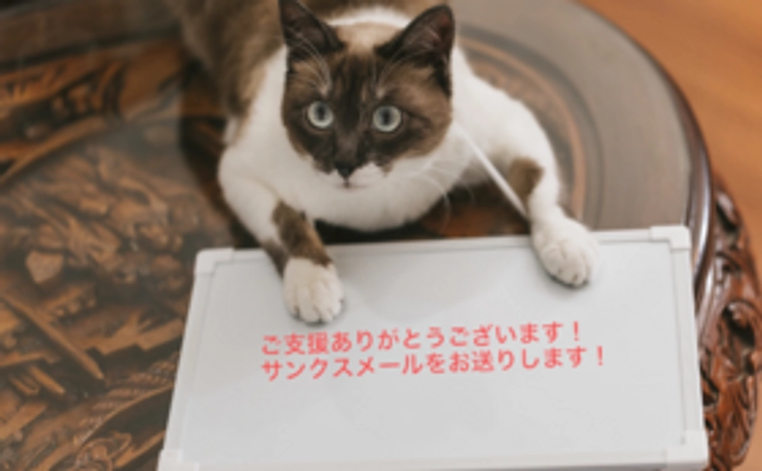 <プロジェクト応援コース>