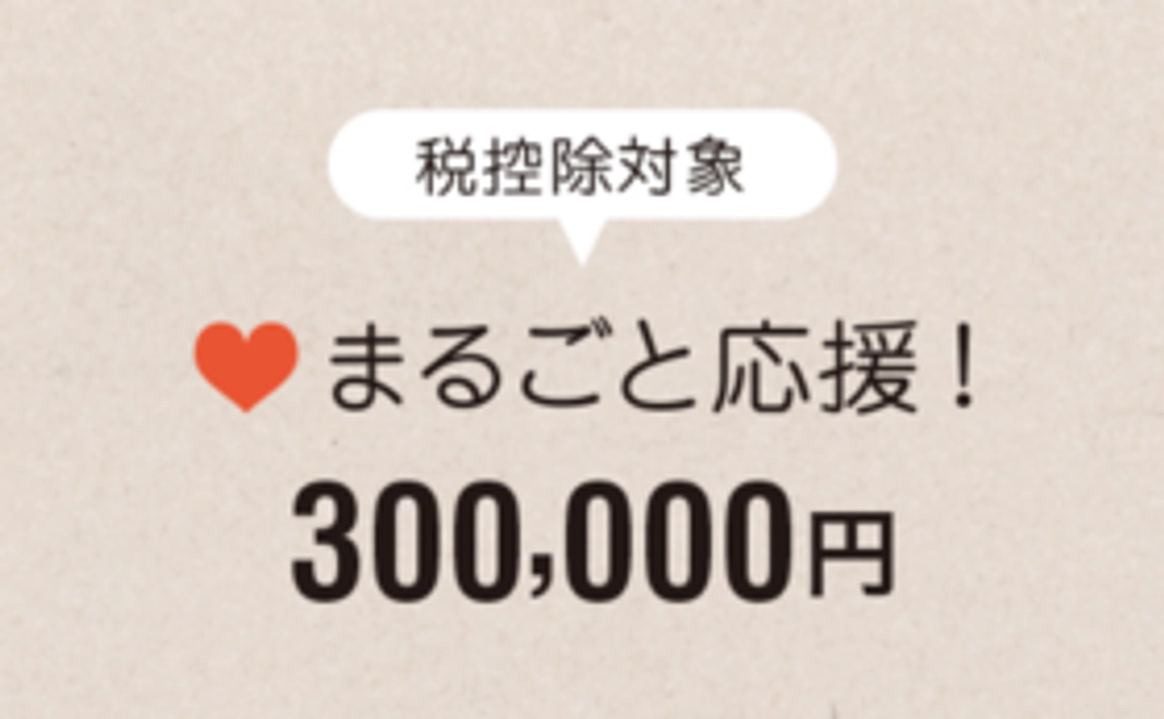 【税控除対象】まるごと応援300,000円コース