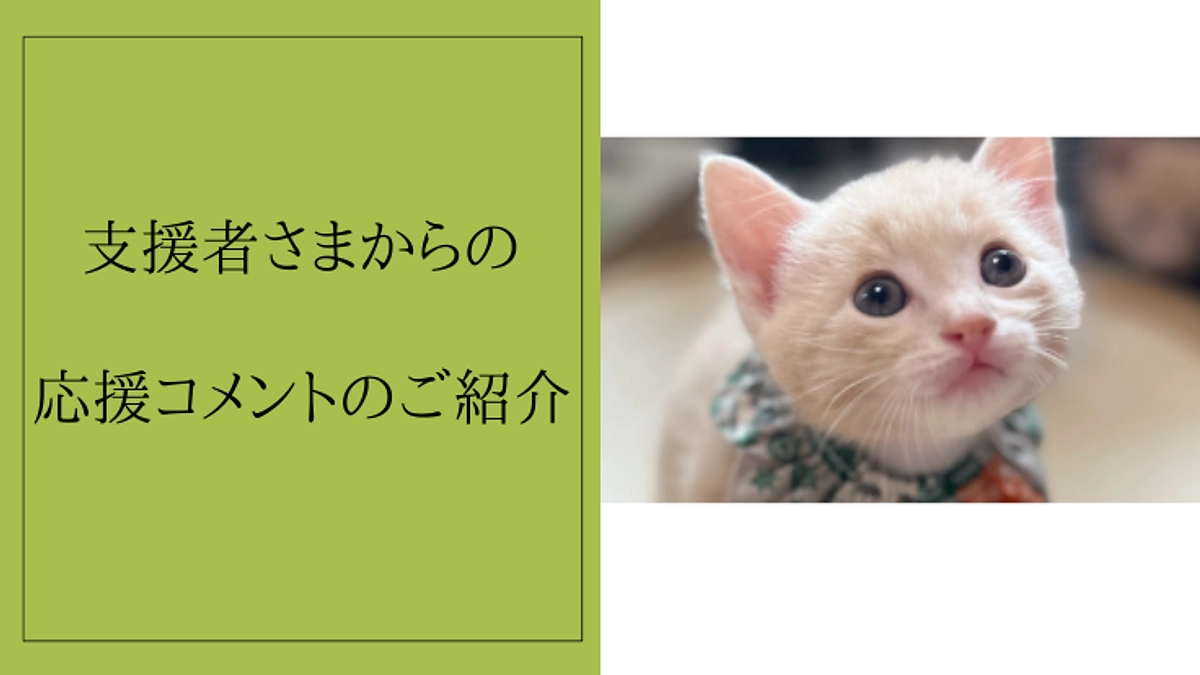 【300万円突破！】感謝の気持ちでいっぱいです。応援コメントのご紹介をします！