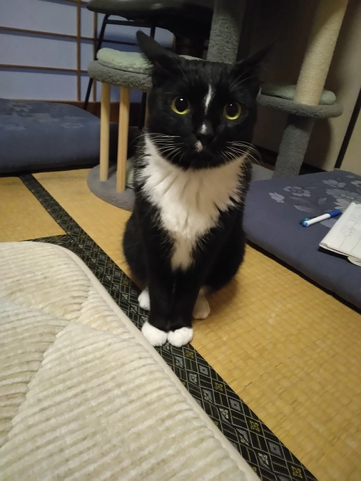 4/22はなちゃんの様子(発作あり)