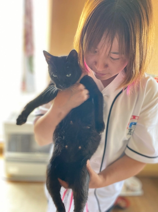 5匹の子達を迎えに行って来ました《岩内町》《飼育放棄案件》