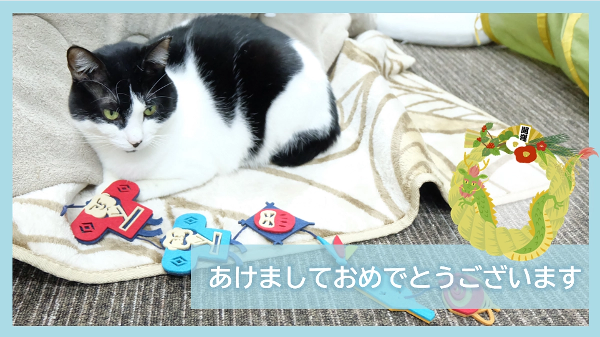 あけましておめでとうございます