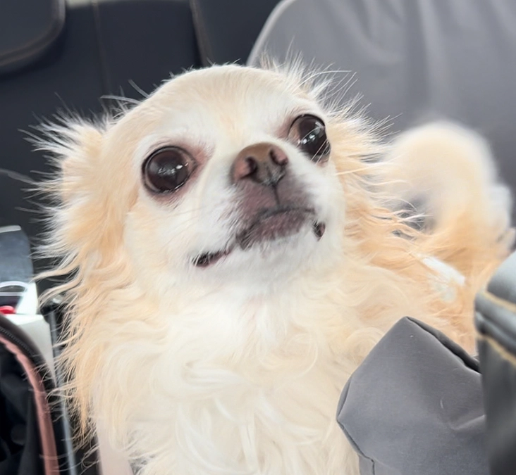 今日も食欲がなく元気がありません…。。