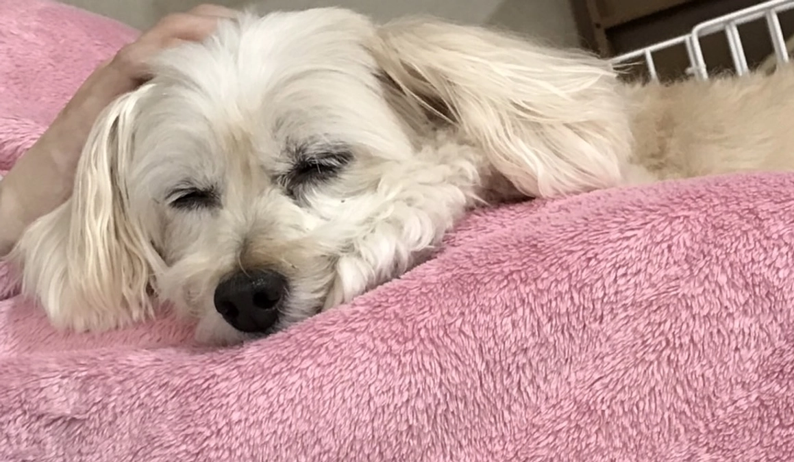 今日は調子が悪いことが多い…