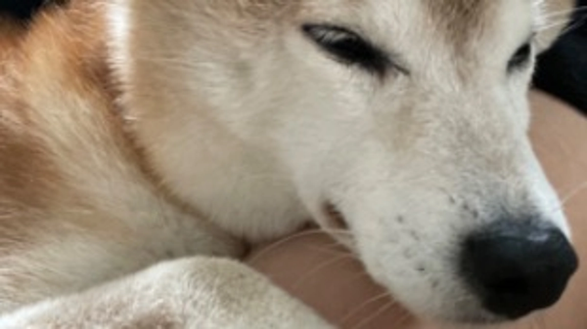 生きたいと思える世界