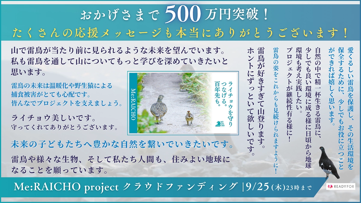 【お礼】500万円突破！第一目標金額700万円に向けて引き続きよろしくお願いします