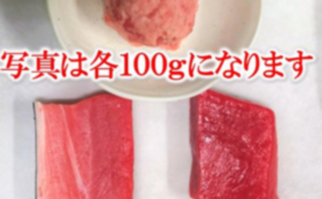 お手軽マグロプラン