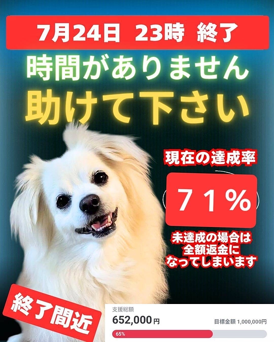 【残り７時間】達成率71%