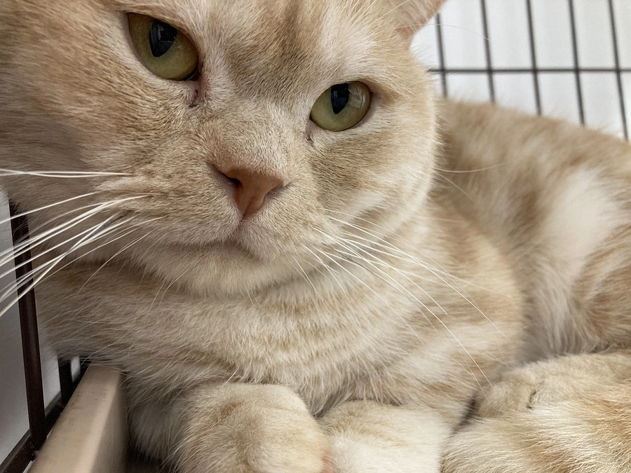 All or Nothingの現実...