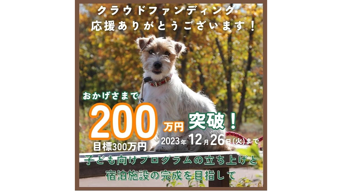 【200万円を超えました！】