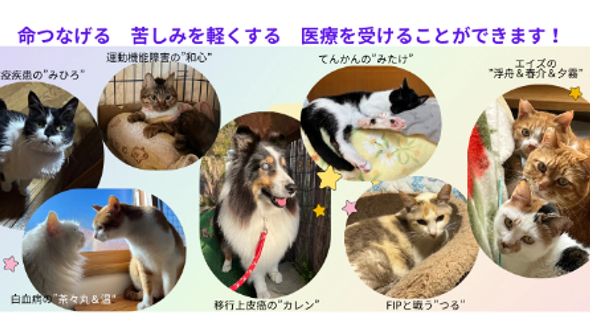 ＊応援ありがとうございました＊