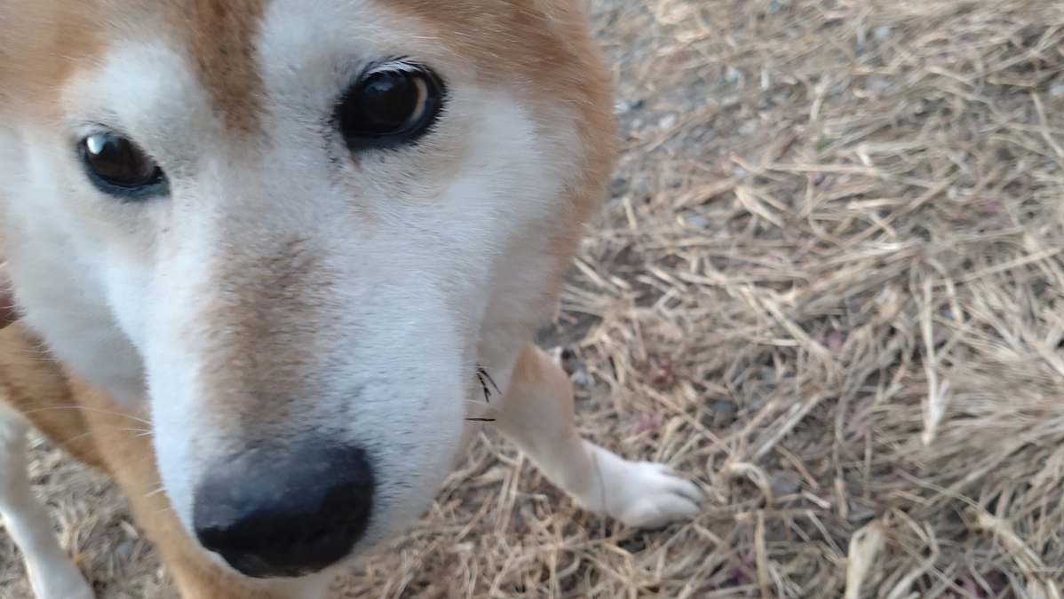 現在屋根の取付工事中です