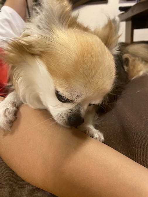 ご心配おかけしました☺️