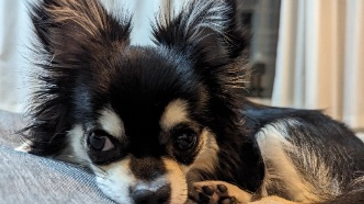 食欲がありません😢