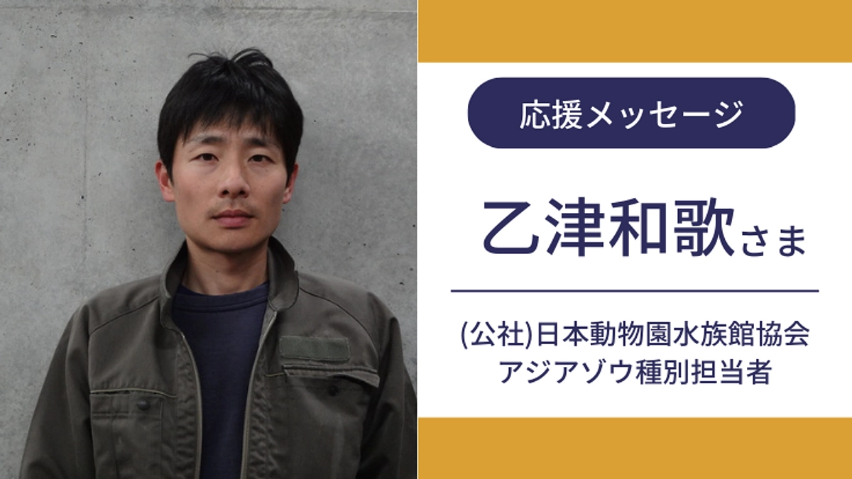 応援メッセージをいただきました！