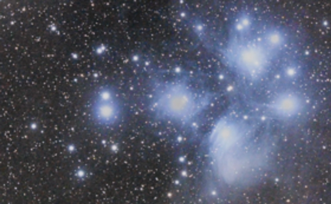 【5千円寄附コース】