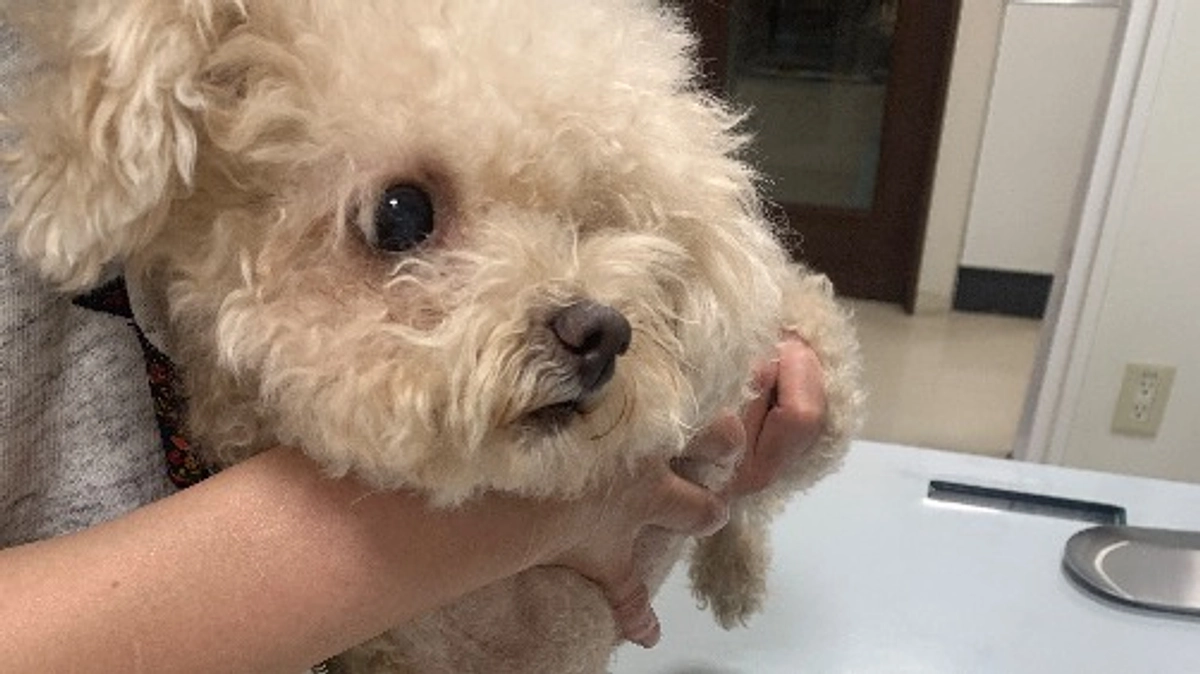 残り10日となりました