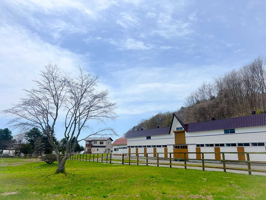 牧柵の設営工事が始まっています
