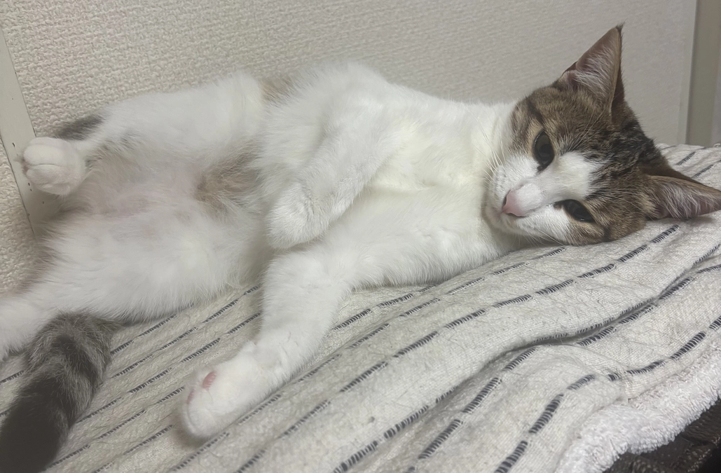 投薬73日目のご報告