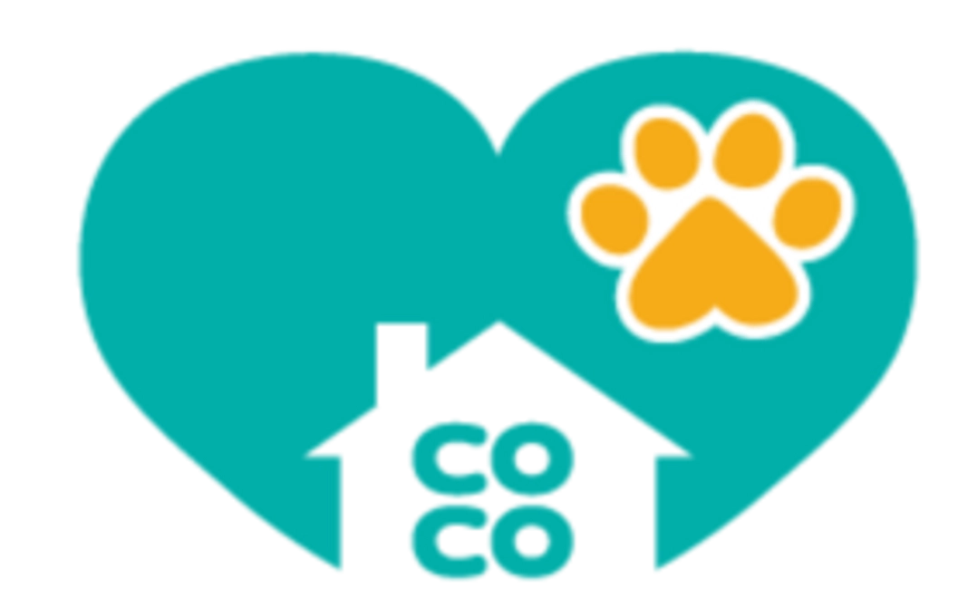 ココフレンズコース