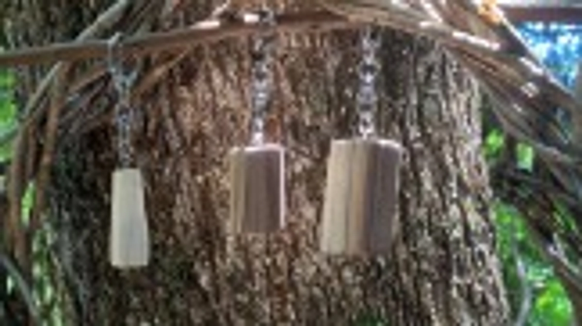 ～8/22(木)活動報告