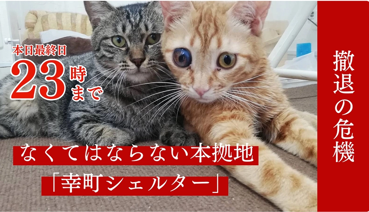 【最終日】幸町シェルタークラウドファンディング　本日23時終了！