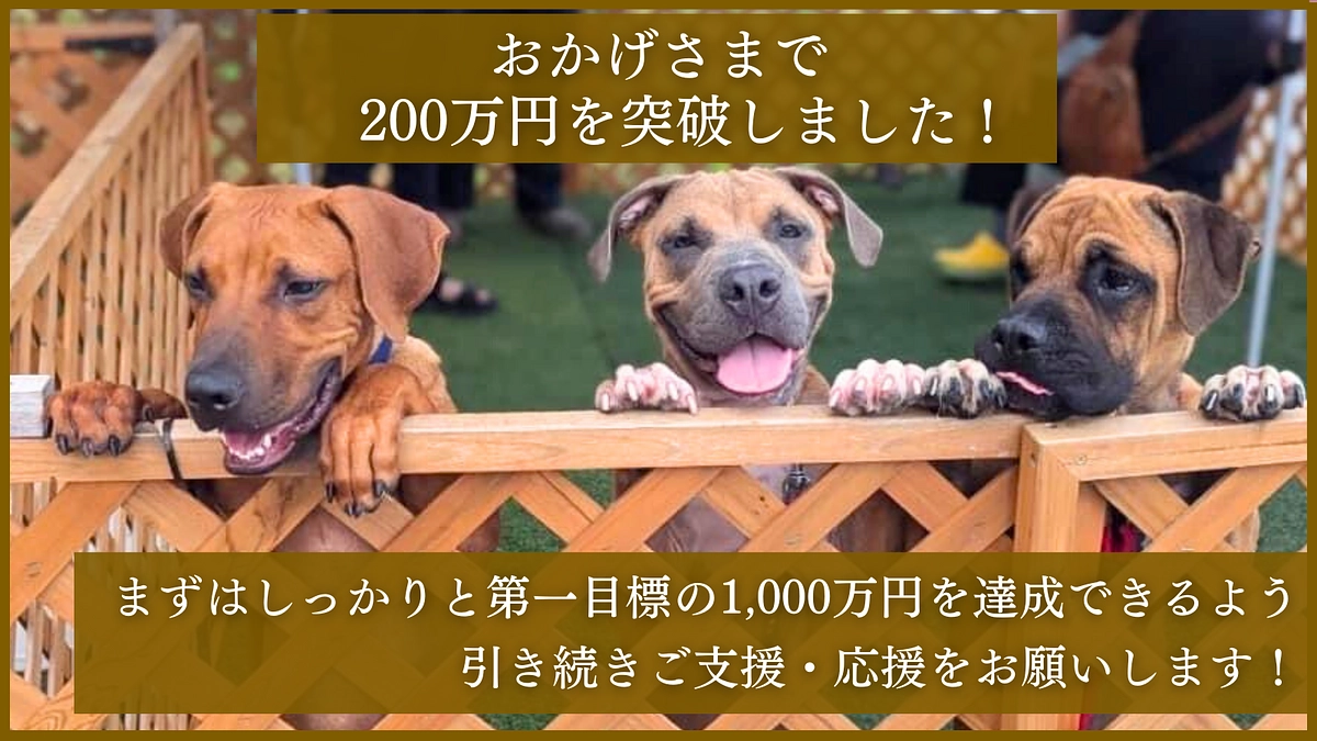 【20%突破】たくさんの応援ありがとうございます。おかげさまで200万円まできました！