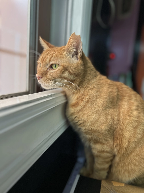 2024.12.01通院追記